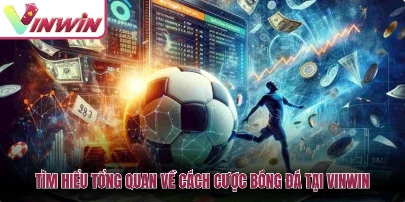 Cách cược bóng đá Vinwin với kèo châu Á châu Âu tài xỉu phạt góc và kèo live