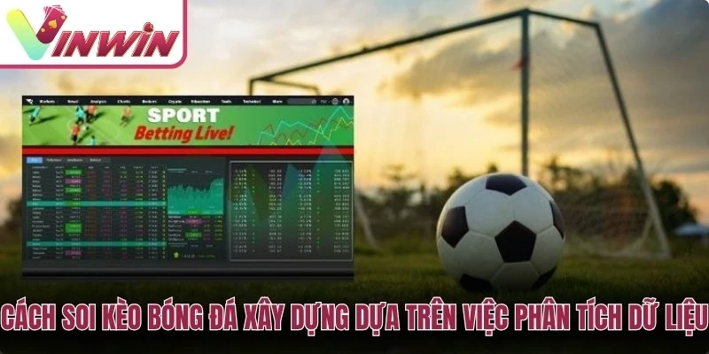 Cách soi kèo bóng đá Vinwin bằng phân tích dữ liệu trận đấu và bảng tỷ lệ kèo