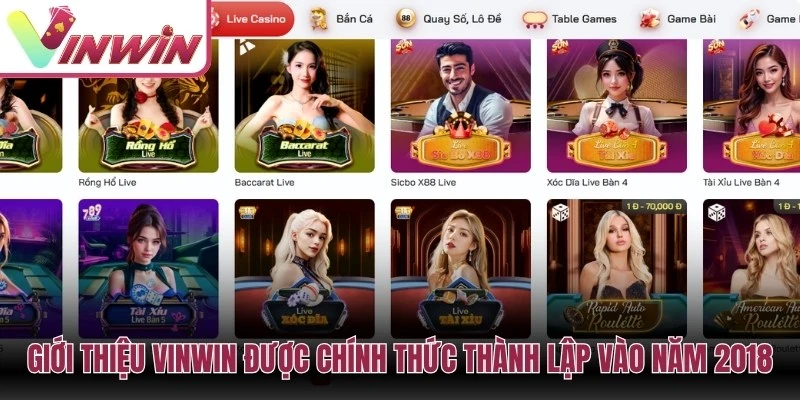 Người mới nên tìm hiểu Vinwin theo lộ trình từ giới thiệu điều khoản đăng ký đăng nhập đến nạp rút