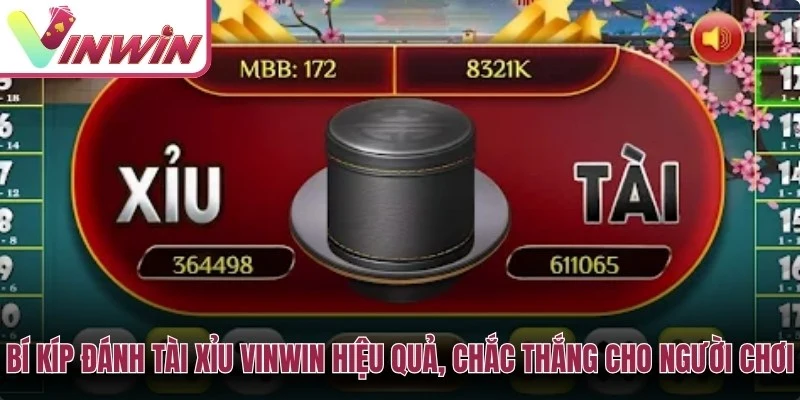 Lưu ý khi chơi Tài xỉu Vinwin gồm quản lý vốn, đọc luật và tránh tool soi cầu