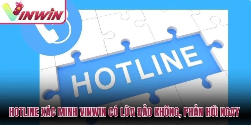Liên hệ Vinwin khi nghi ngờ bị lừa đảo cần chuẩn bị link bằng chứng và mã giao dịch